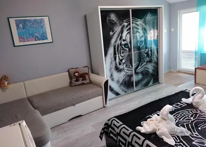 синьо лято 招待所