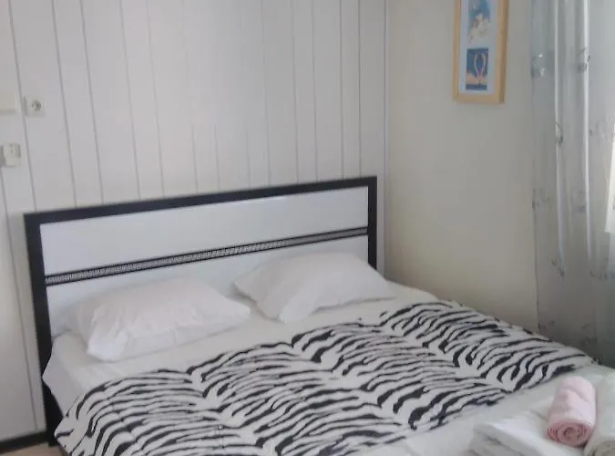 招待所 синьо лято 3*