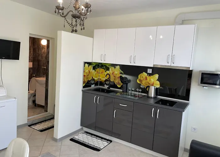 招待所 синьо лято 帕莫瑞